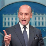 stephen miller net worth